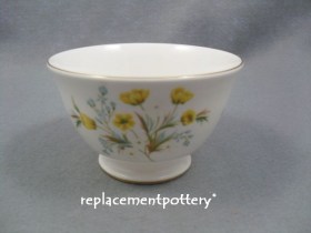 Angela Sugar Bowl