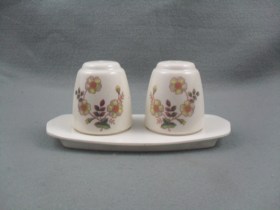 Autumn Leaves Melamine Cruet