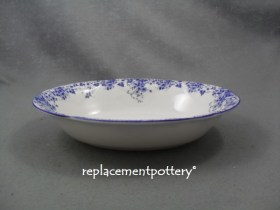 Dainty Blue Oval Serving Dsih