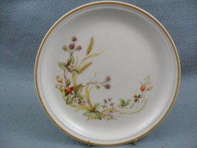 Harvest Dinner Plate