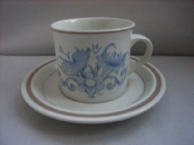 Inspiration Cup & Saucer