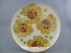 Minstrel Dinner Plate