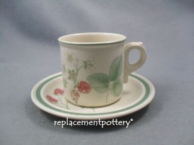 Raspberry Cane Cup & Saucer - Broad Green Band
