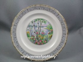 Silver Birch Dinner Plate