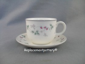 Strawberry Fayre Cup & Saucer