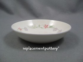 Summer Carnival Bowl