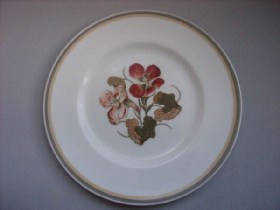 Nasturtium Dinner Plate
