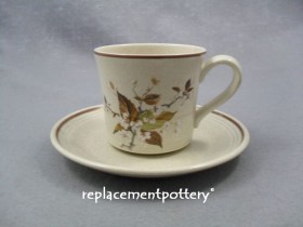 Wild Cherry Cup & Saucer