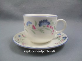 Windermere Cup & Saucer